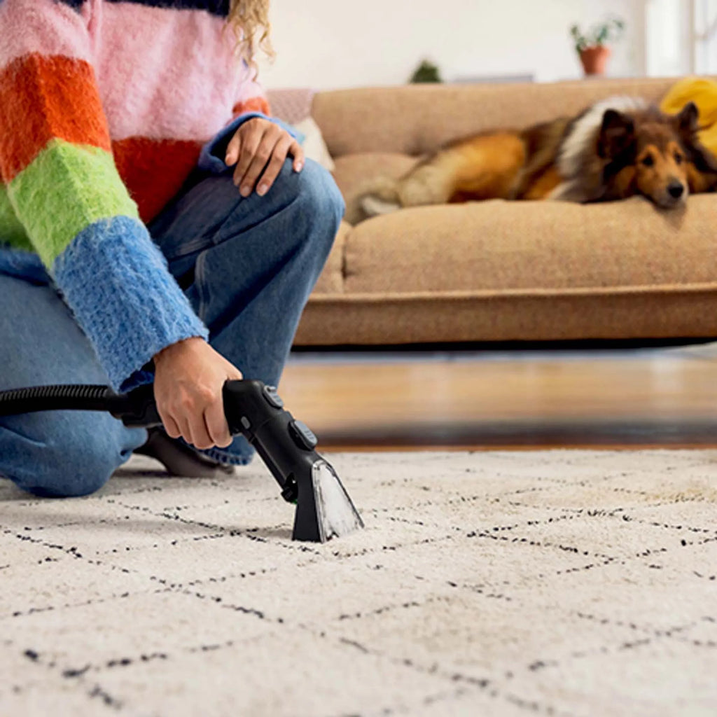 Kärcher Tapijtreiniger SE 3 Compact Home Floor