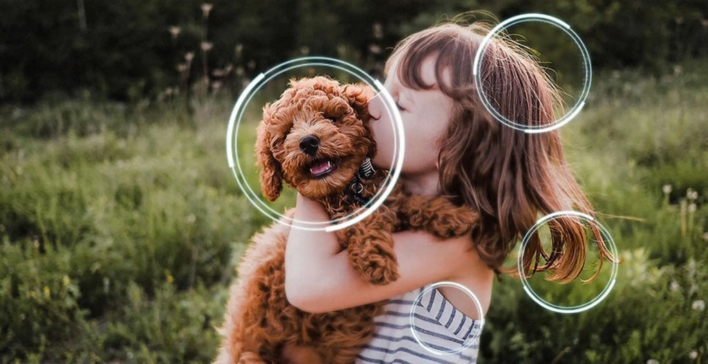 Samsung Neo QLED 4K QE65QN83F Mini LED (2025) - 65 inch