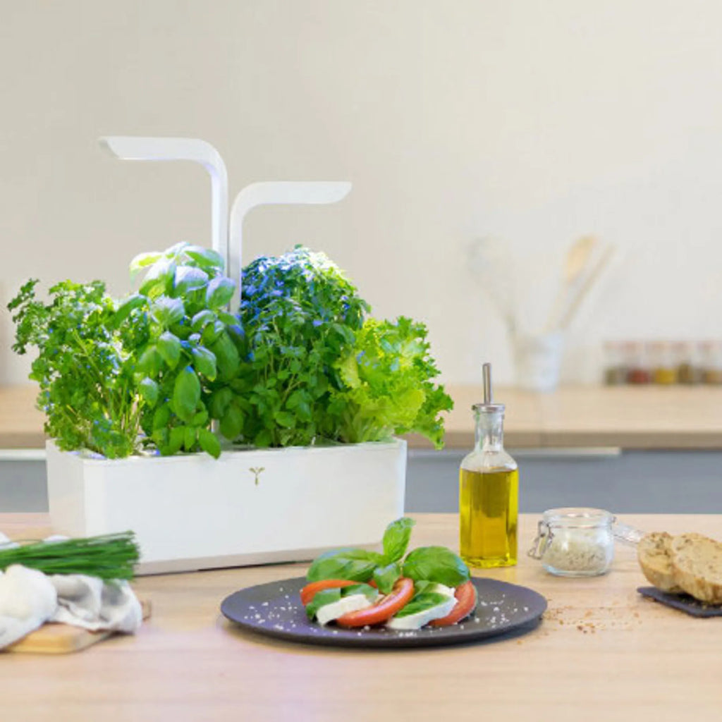VERITABLE Moestuin Classic