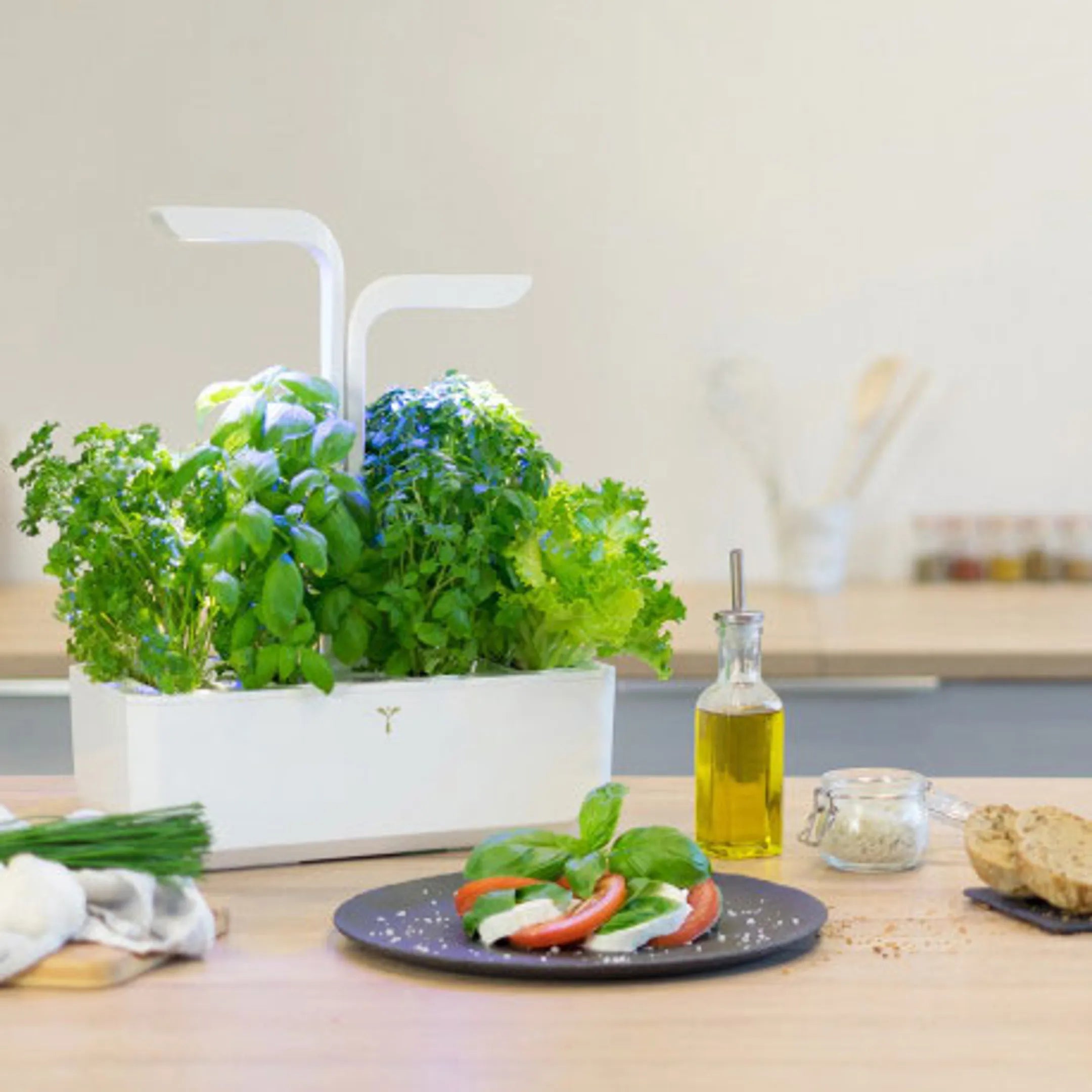 VERITABLE Moestuin Classic