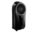De'Longhi Aircooler EV250BK