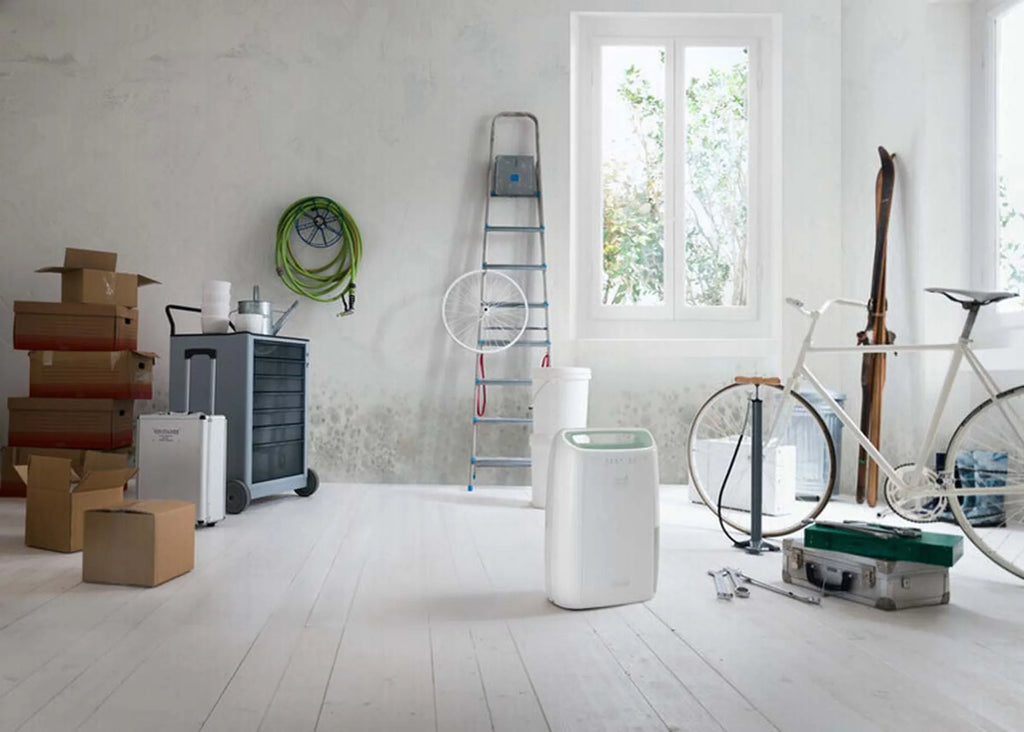 De'Longhi Luchtontvochtiger DEX212SF
