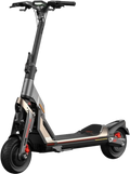 Segway KickScooter GT2P