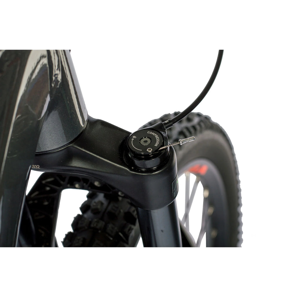 29 inch e-MTB mountainbike BOSCH Performance Line CX Gen4 500 Wh STREAMER 12-SPEED SRAM RD SX EAGLE