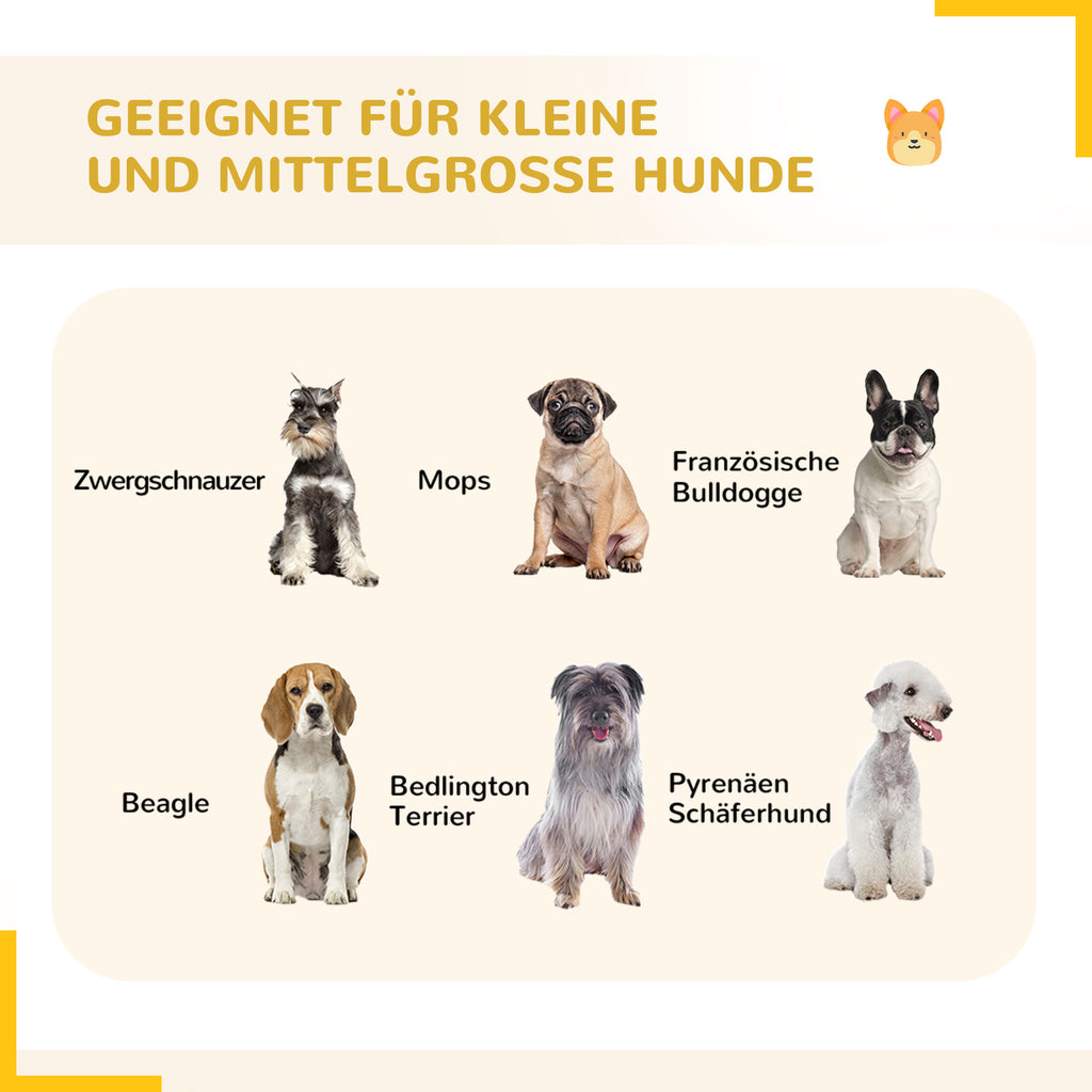 PawHut Puppy Run modulair ontwerp 16 panelen 2 deuren weerbestendig staal 3,2 x 3,2 x 1 m grijs