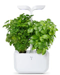 VERITABLE Moestuin Exky Classic