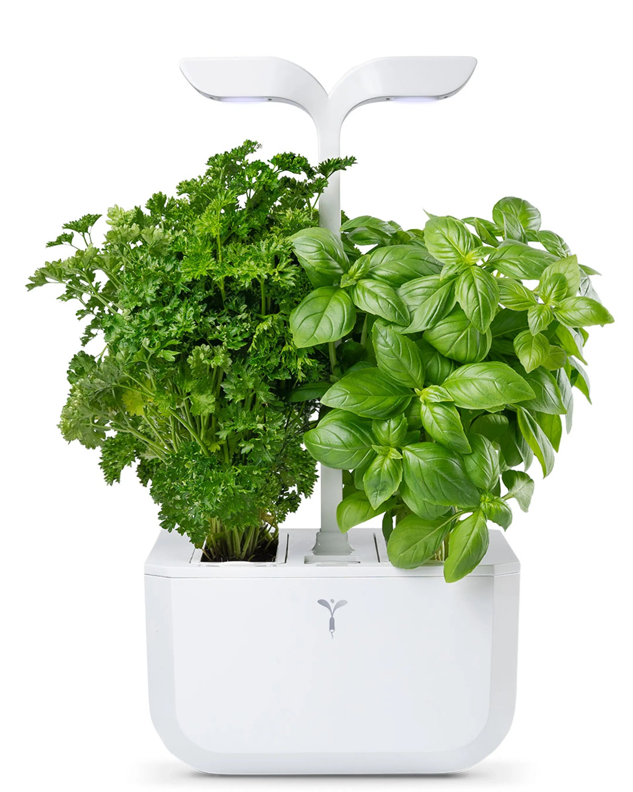 VERITABLE Moestuin Exky Classic