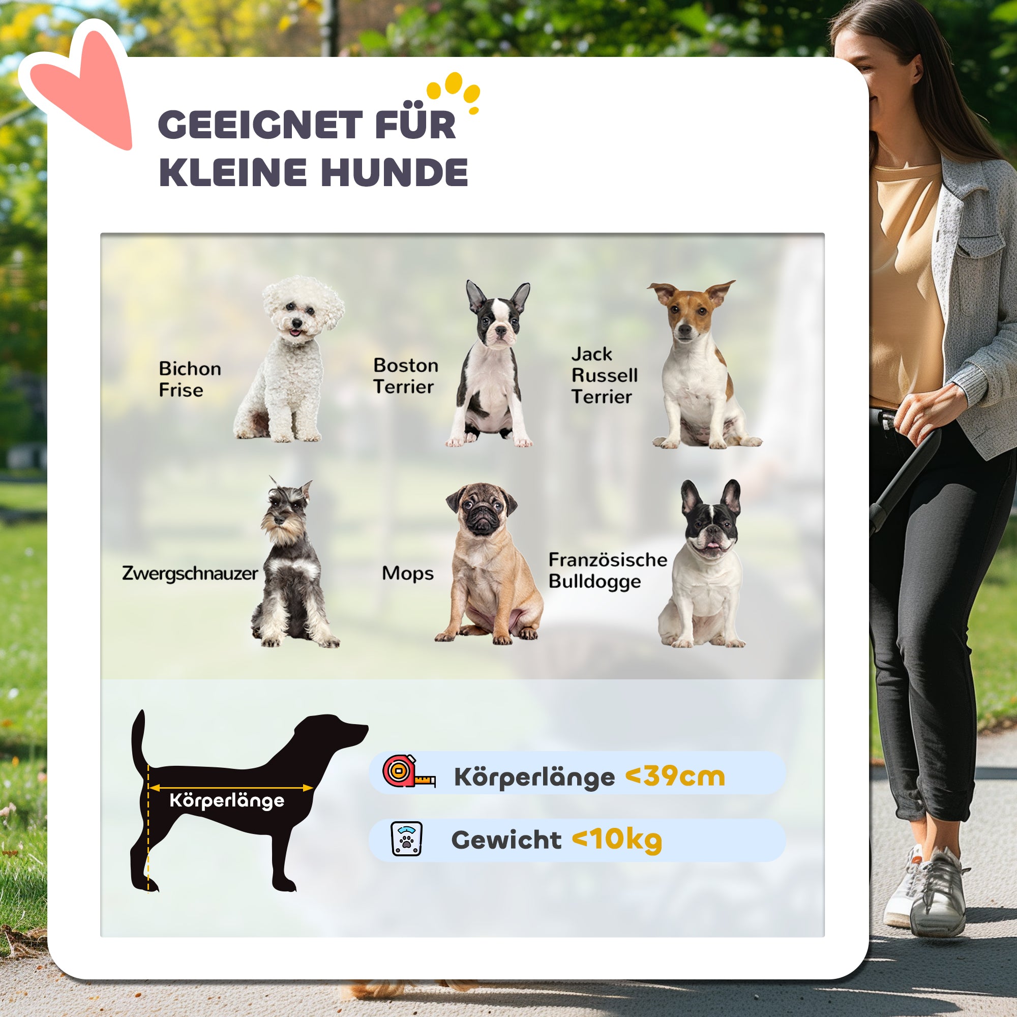 PawHut Hondenbuggy voor Kleine Honden en Katten - Met Opbergmand, Één-Klik Opvouwbaar Ontwerp, Turquoise