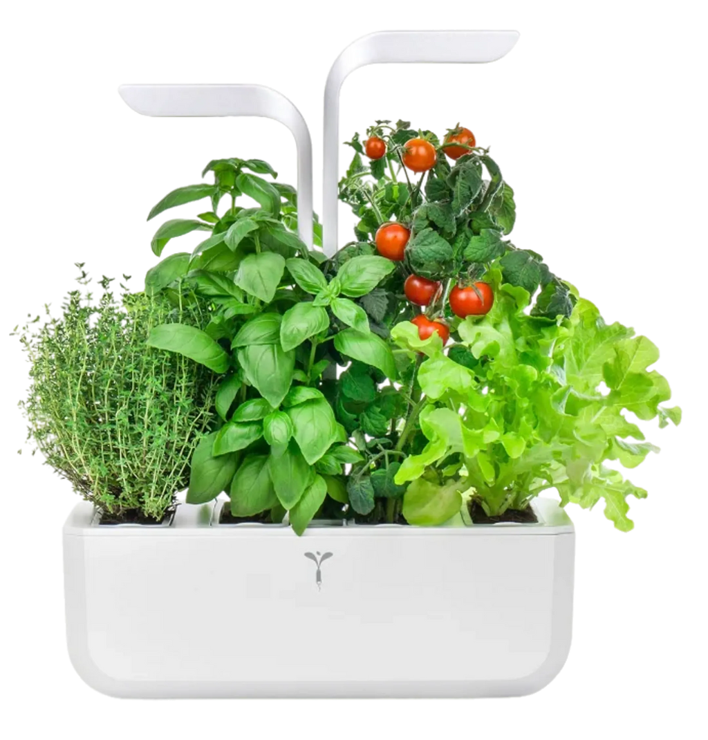 VERITABLE Moestuin Classic