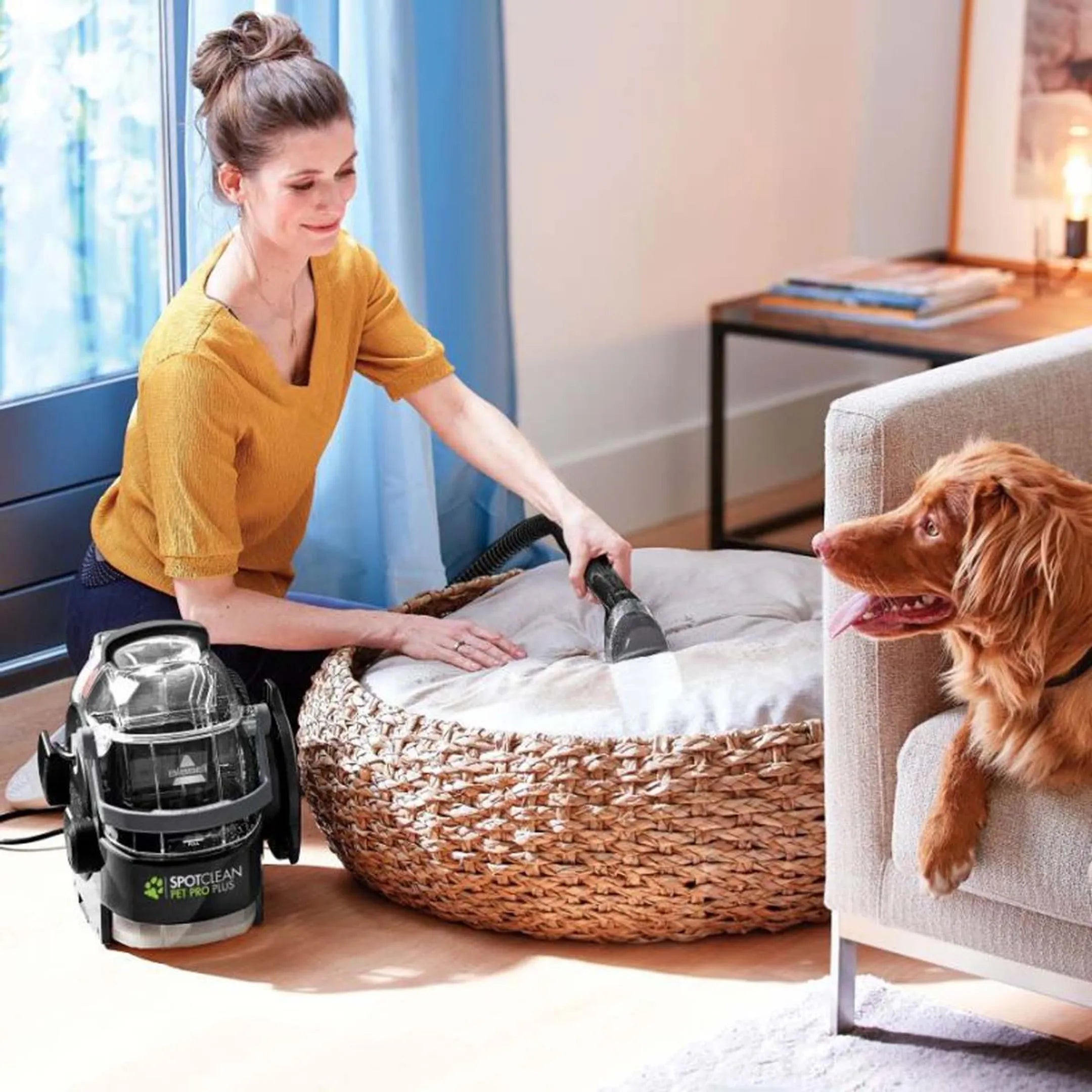 Bissell Tapijtreiniger SpotClean Pet Pro Plus 37252