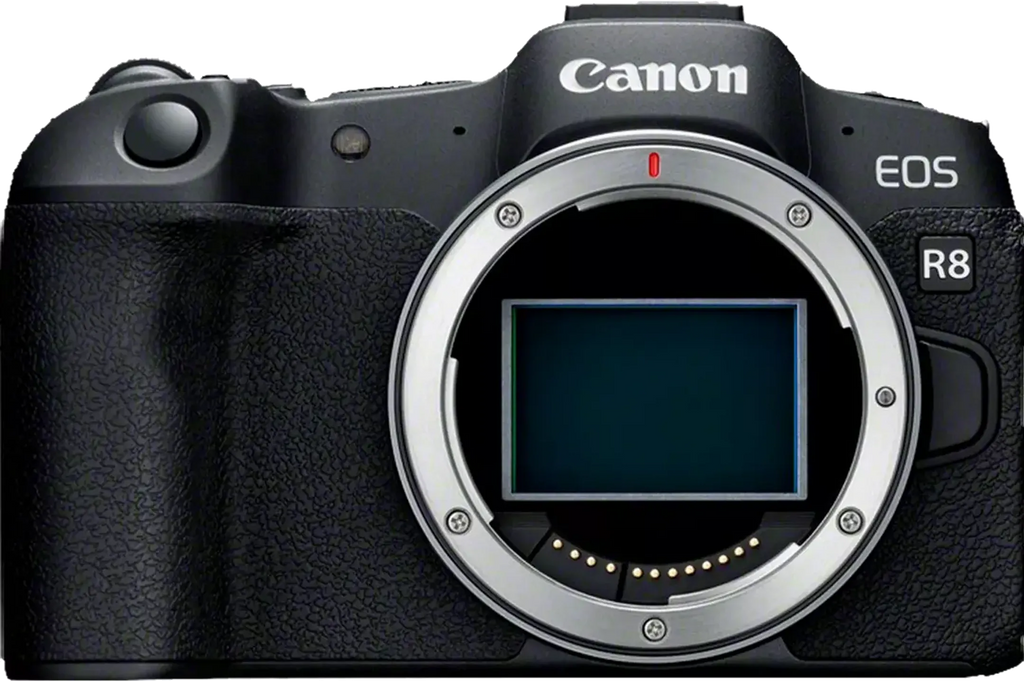 Canon Body EOS R8