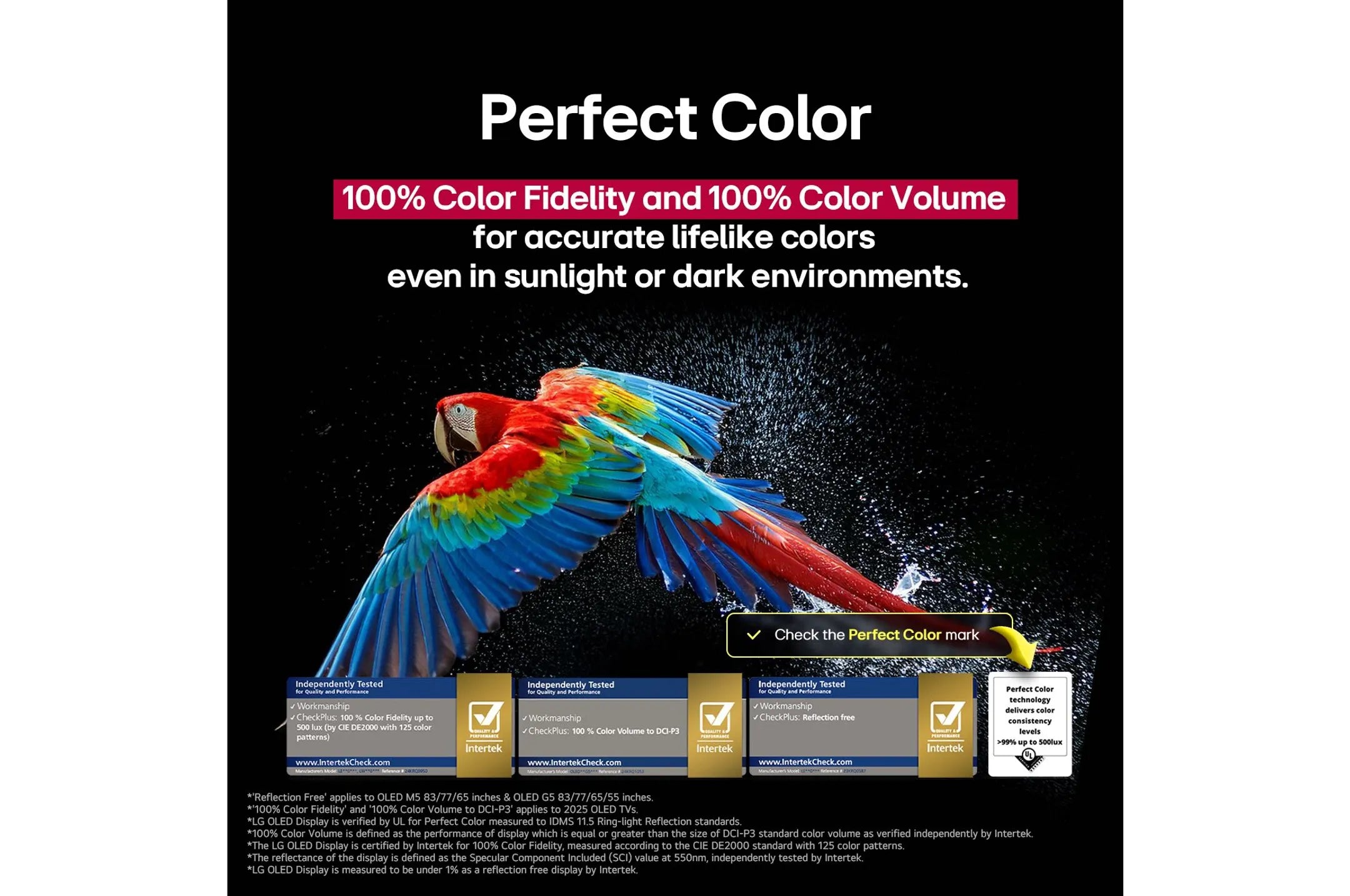 LG OLED evo TV 4K OLED55G56LS (2025) - 55 inch