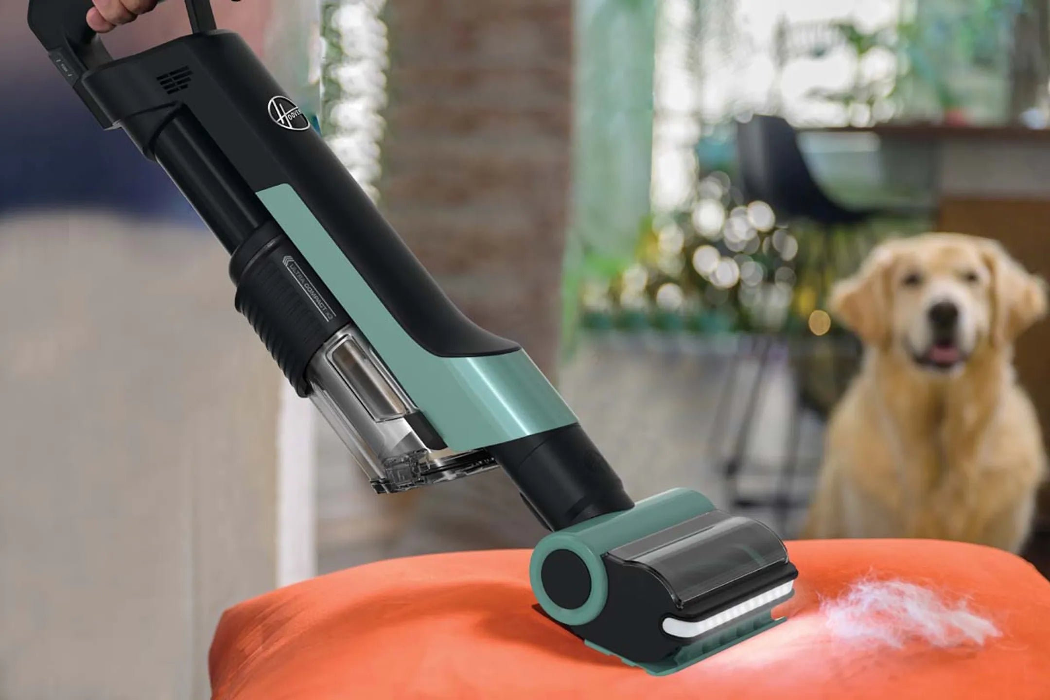 Hoover Steelstofzuiger HF2 Pet