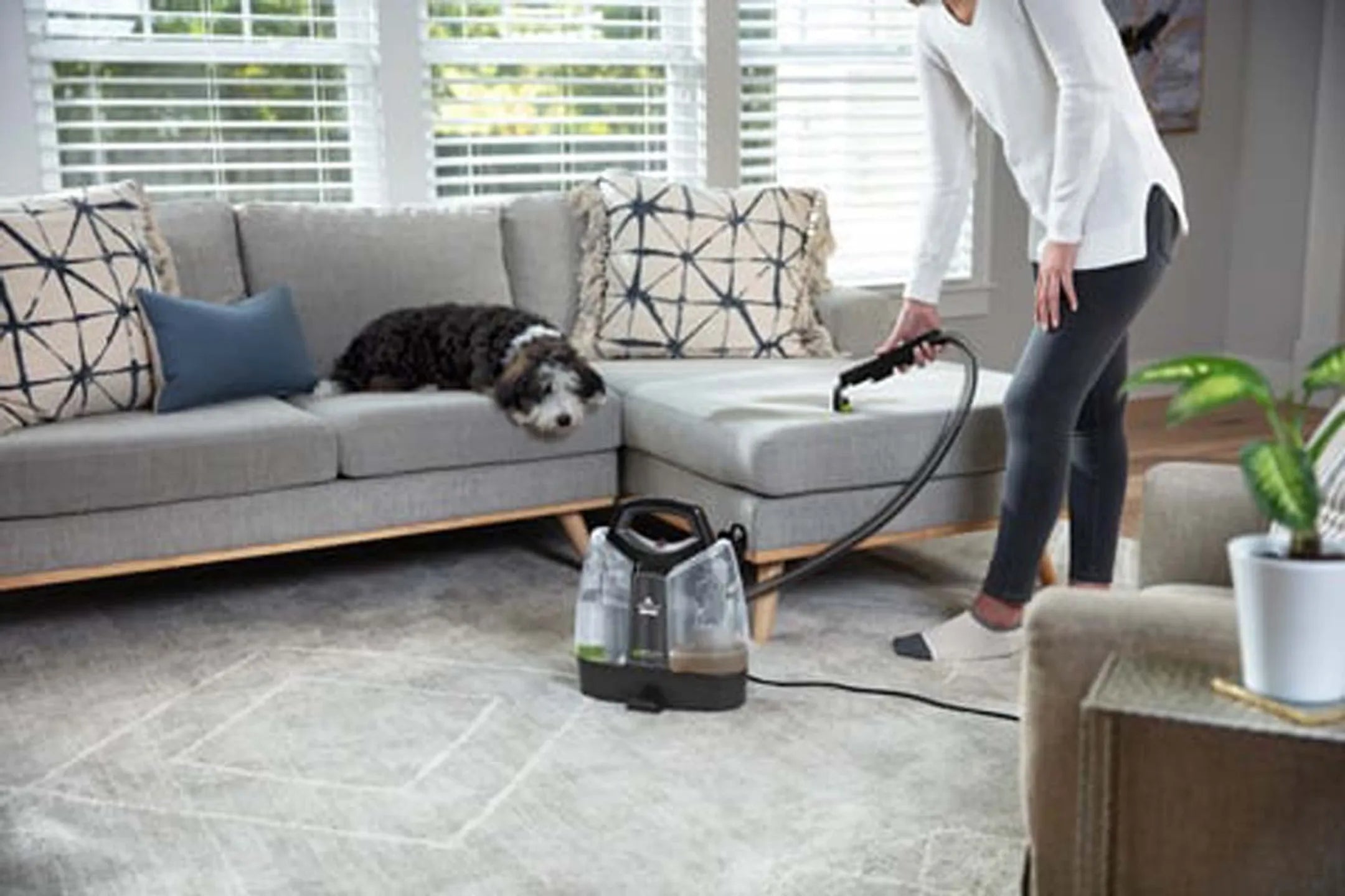 Bissell Tapijtreiniger Spotclean Pet Plus 37241