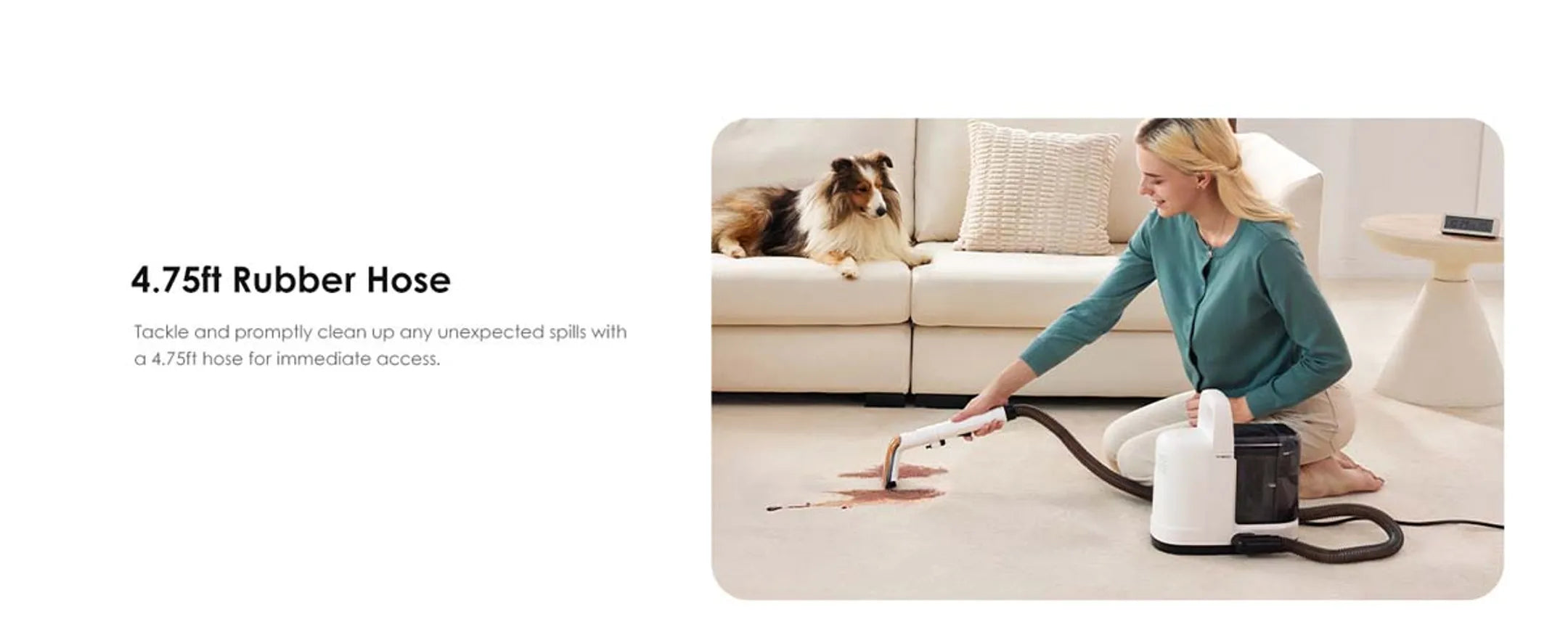 TINECO Tapijtreiniger iCarpet Spot